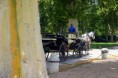 /album/fotogaleria-inicio/a17-caballos-jordi-foto-cmhomer-1024x768-jpg1/